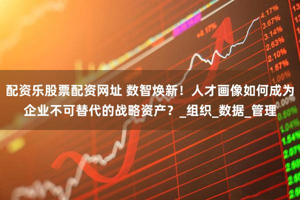 配资乐股票配资网址 数智焕新！人才画像如何成为企业不可替代的战略资产？_组织_数据_管理