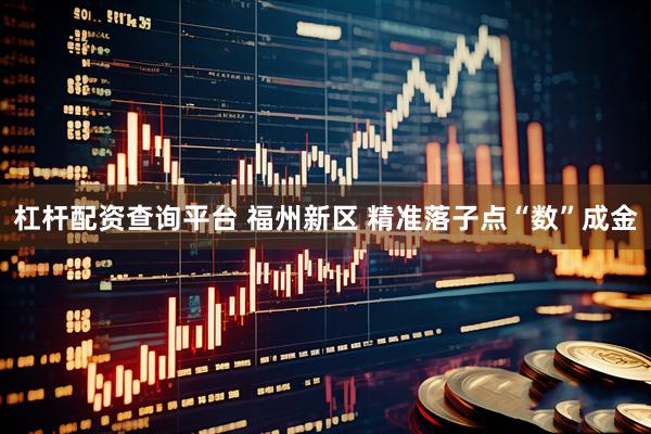 杠杆配资查询平台 福州新区 精准落子点“数”成金