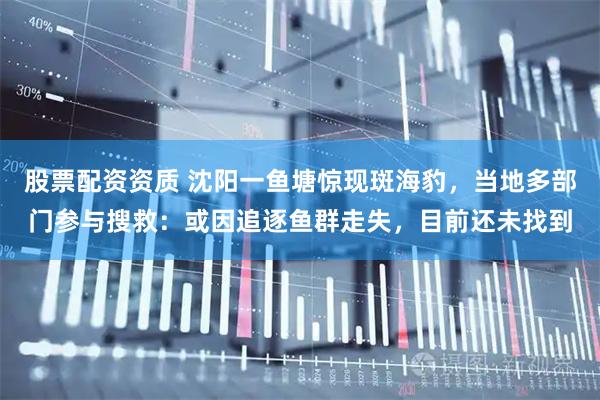 股票配资资质 沈阳一鱼塘惊现斑海豹,当地多部门参与搜救:或因追逐鱼群走失,目前还未找到